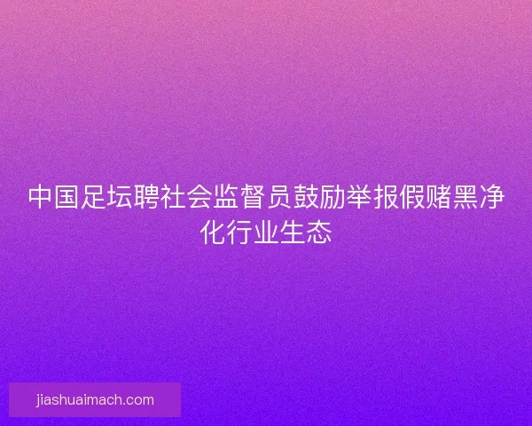中国足坛聘社会监督员鼓励举报假赌黑净化行业生态