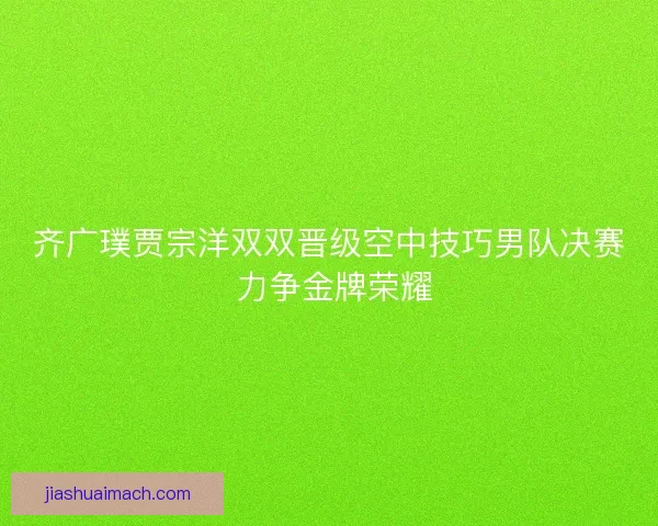 齐广璞贾宗洋双双晋级空中技巧男队决赛 力争金牌荣耀